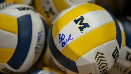 Volleyball Generic Balls