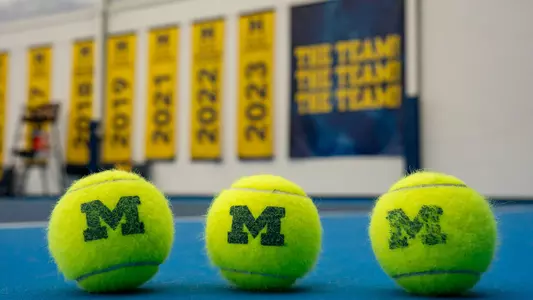 Women's Tennis ball generic