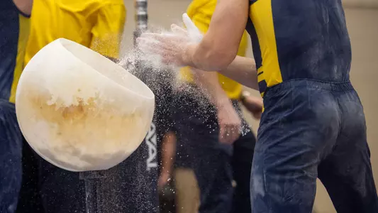 Men's Gymnastics Chalk Bowl
