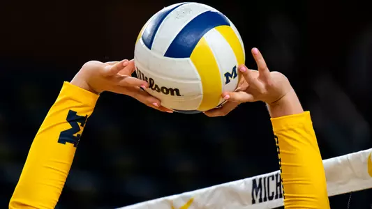 Volleyball Setting Closeup