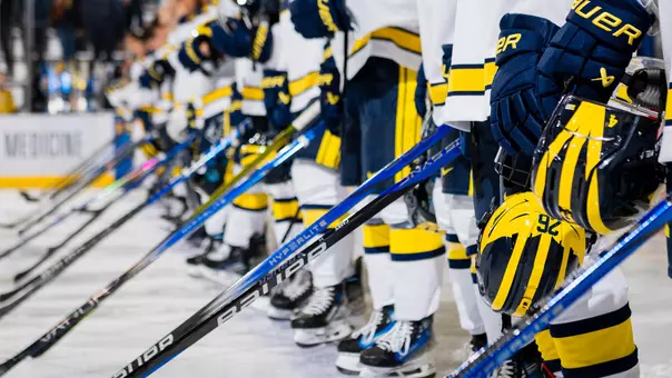 Ice hockey generic pregame sticks