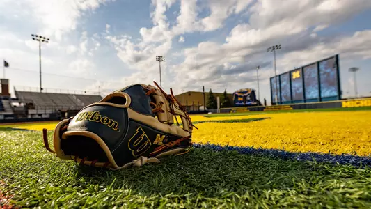 Softball Glove on Field Generic