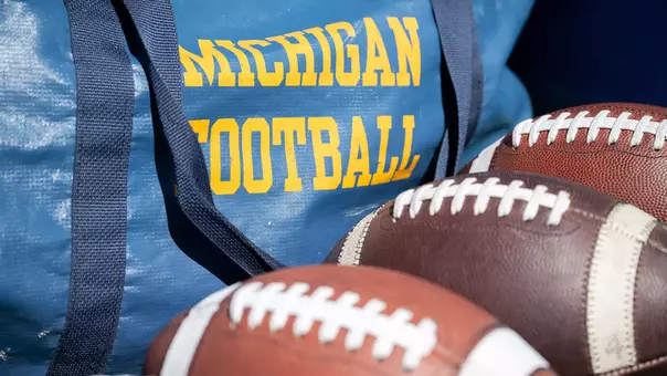 Football bag/balls generic