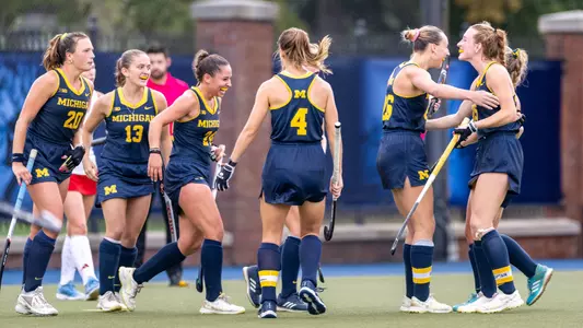 Team celebration goal