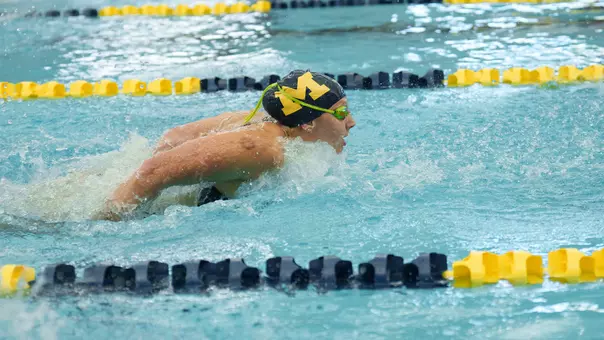 Stephanie Balduccini