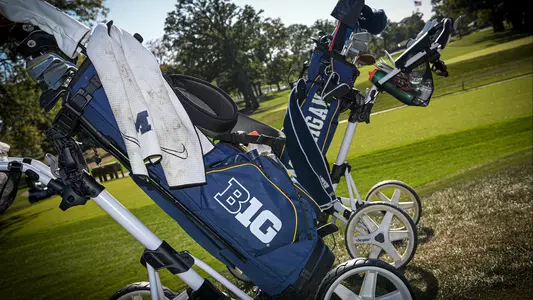 Golf bag generic