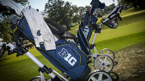 Golf bag generic