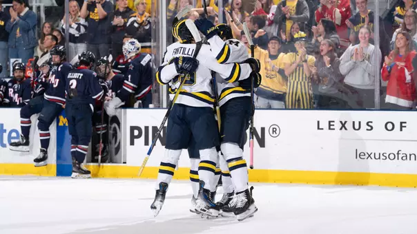 Ice Hockey Goal Celebration
