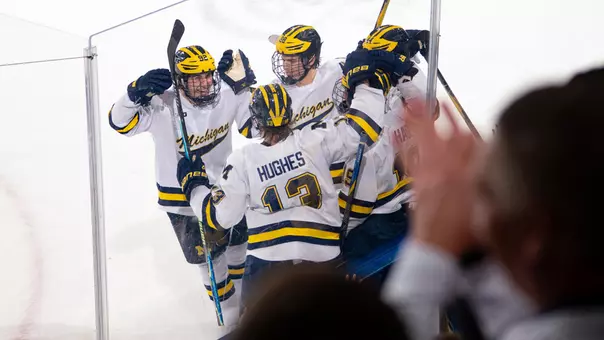 Ice Hockey Goal Celebration