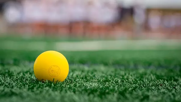 Women's Lacrosse Ball Generic