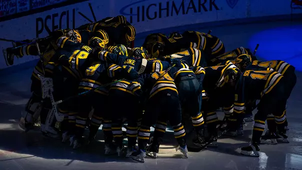 Michigan Ice Hockey Huddle