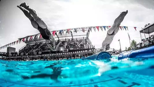 Diving Into Pool - Athletes Connected (Mike Lewis)