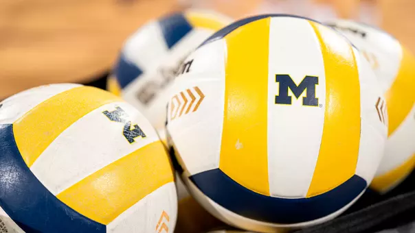 Volleyball Balls Generic