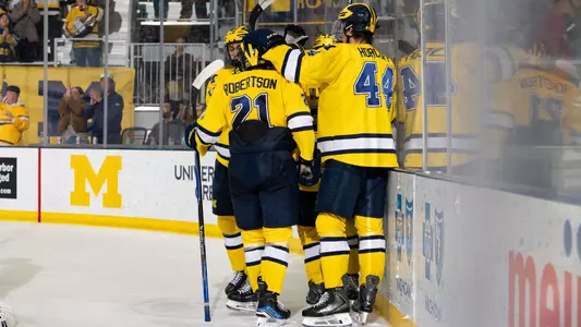 Ice hockey team huddle after goal
