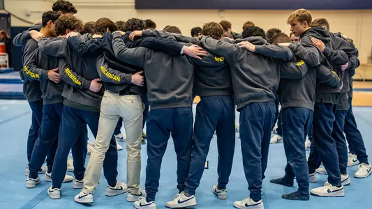 Michigan Men's Gymnastics
