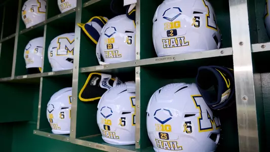 Michigan Softball