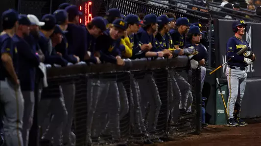 Michigan Baseball