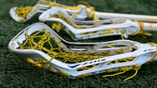 Women's Lacrosse Sticks Generic
