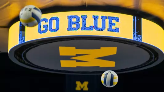 Volleyball Go Blue generic