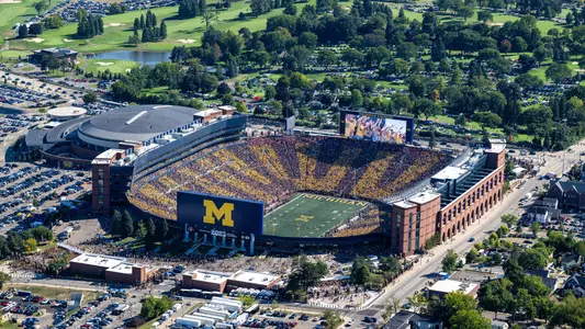 Michigan Stadium Big House generic stripe out