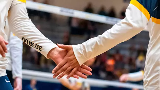Volleyball Handshake