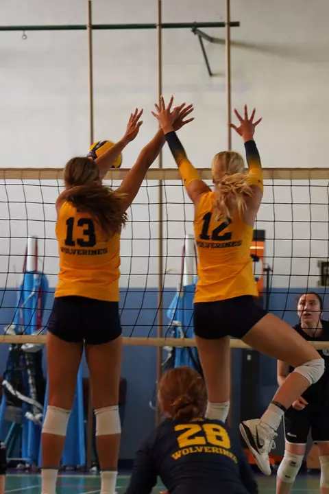 Volleyball European Travel Blog Day 7