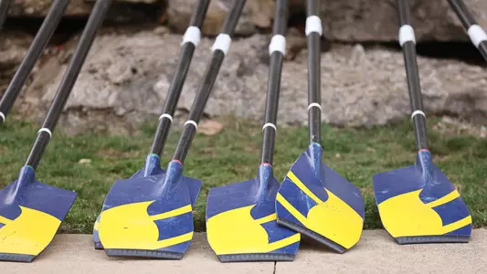 Rowing Michigan Oars Generic