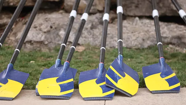 Rowing Michigan Oars Generic