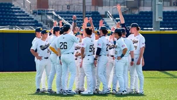 Baseball Team Huddle