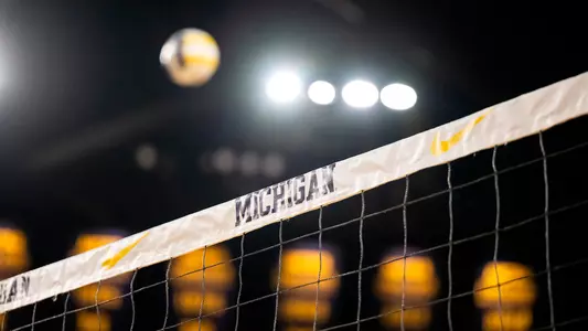 Volleyball Ball and Net Generic