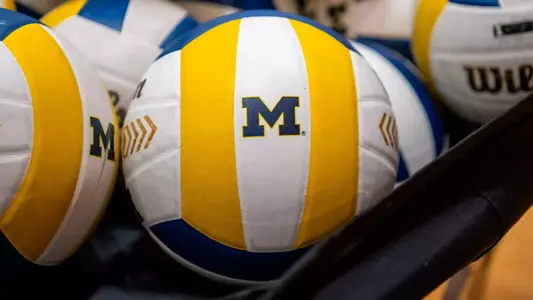 Volleyball Bunch of Volleyballs