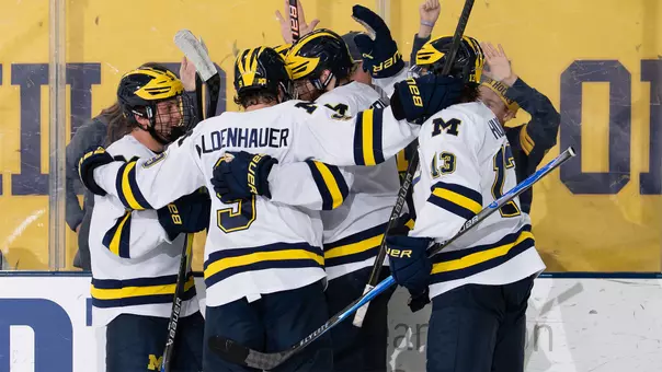 Ice Hockey Goal Celebration