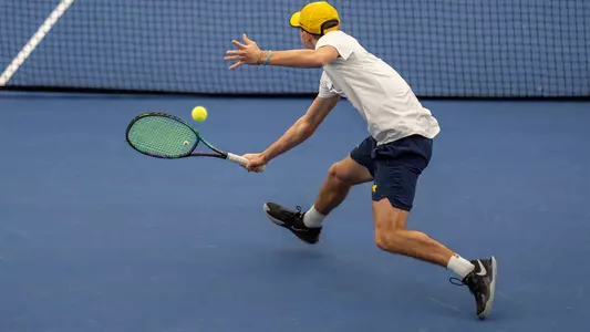 Men's tennis swing by the net generic