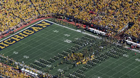 Michigan Stadium Big House Maize Out generic