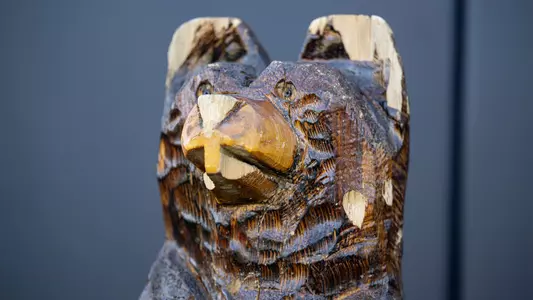 Michigan Men's Soccer Big Bear Trophy
