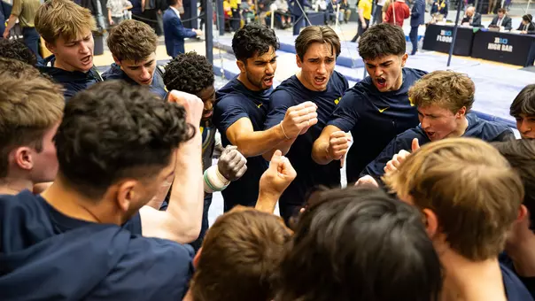 Men's gymnastics team huddle