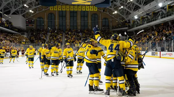 Ice Hockey Team Celebration