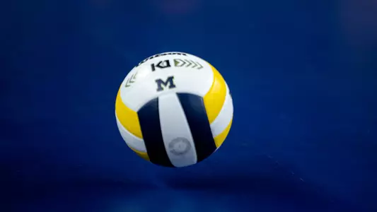 Volleyball Ball Generic