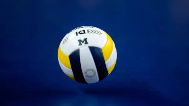 Volleyball Ball Generic