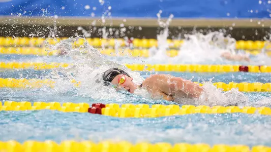 Stephanie Balduccini