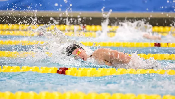 Stephanie Balduccini