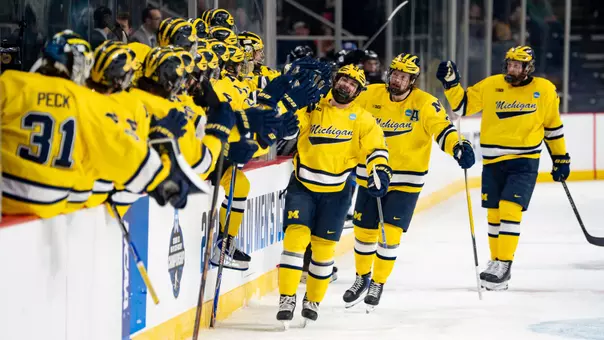 Ice hockey team celebration