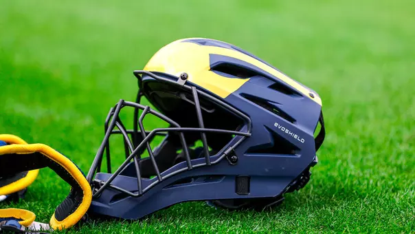 Baseball Catcher's Mask