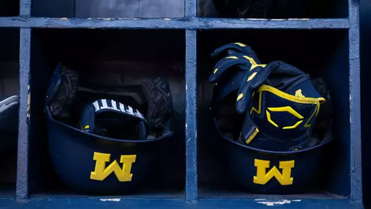 Michigan Baseball Helmets