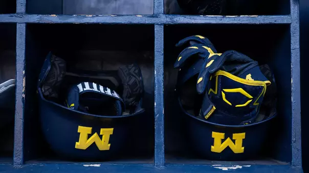 Michigan Baseball Helmets