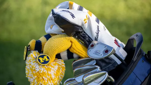 Women's Golf Clubs and Covers