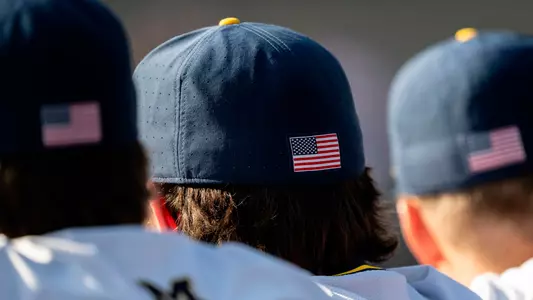 Baseball - Backs of Caps