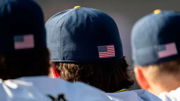Baseball - Backs of Caps
