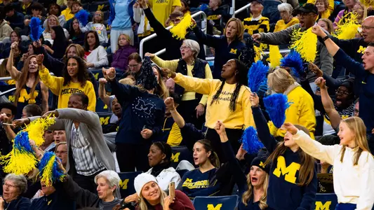 Women's Gymnastics Crisler Crowd