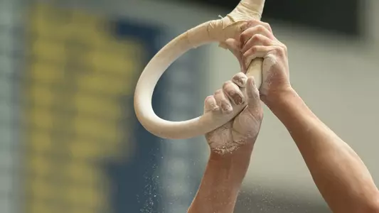 Men's gymnastics still rings